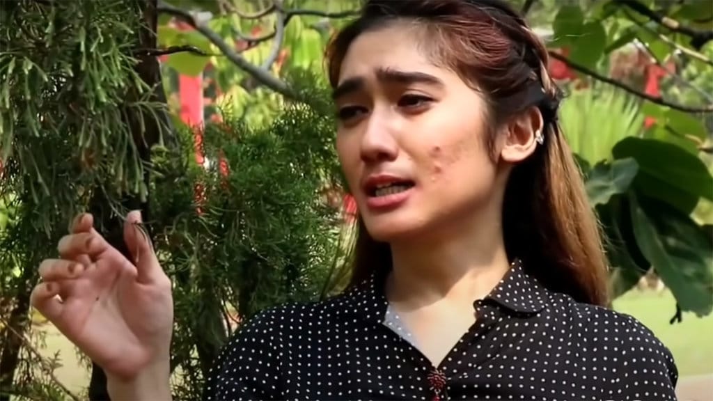 Revi Mariska Sekarang: Profil dan Jejak Karier Sebagai Aktris