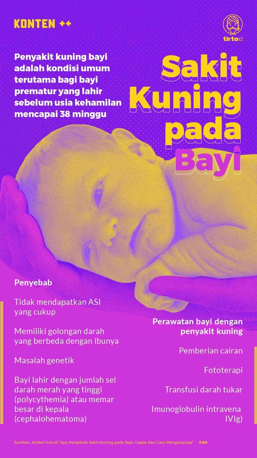 Infografik SC Penyakit Kuning Pada Bayi