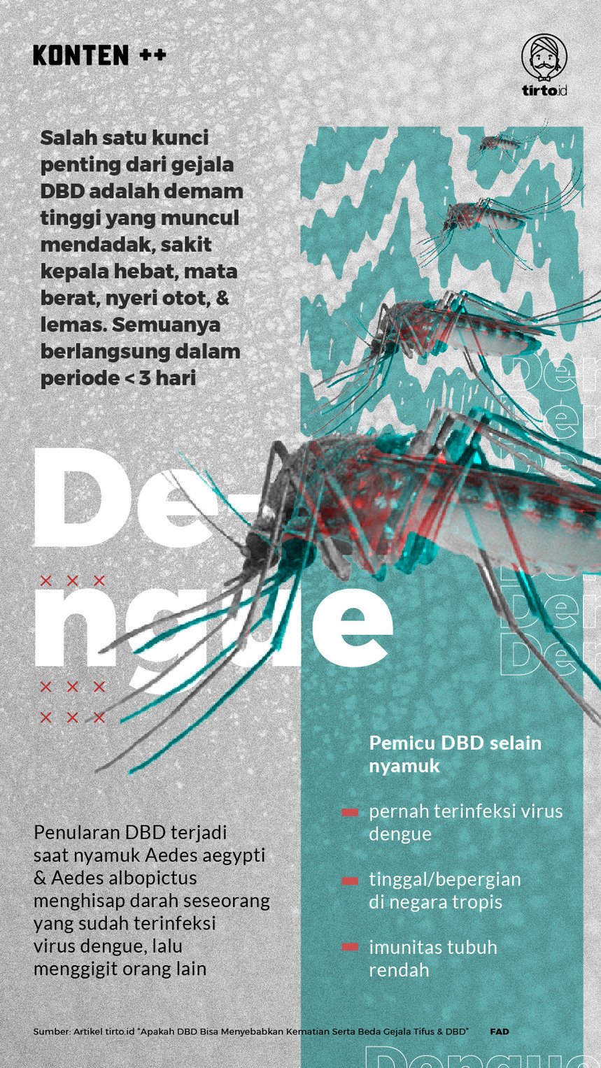 Infografik SC Dengue