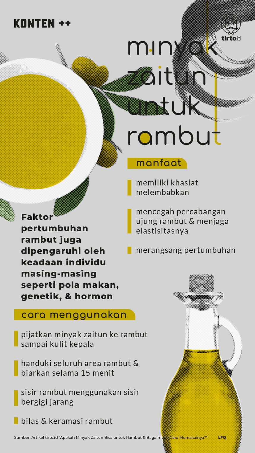 Infografik SC Minyak Zaitun untuk Rambut
