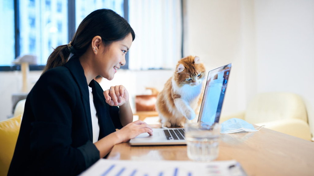 Ilustrasi Freelance. FOTO/iStockphoto Ilustrasi Freelance