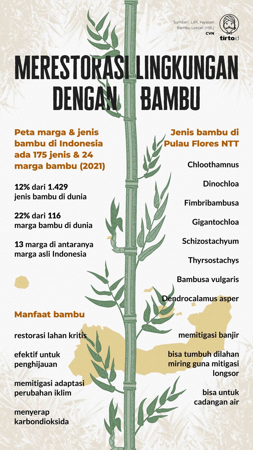 Infografik Indept Merestorasi Lingkungan dengan Bambu