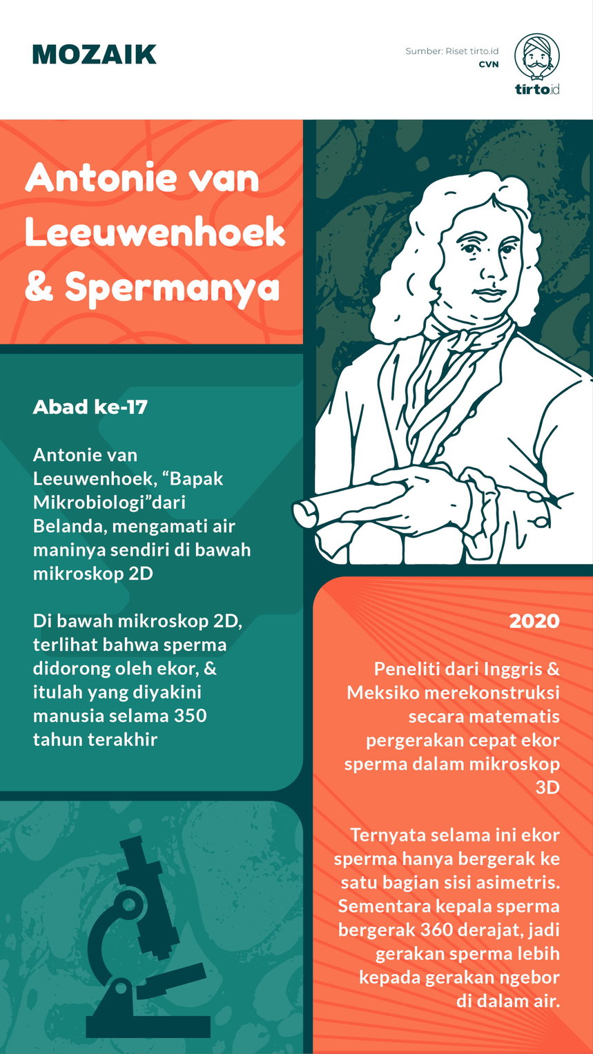 Infografik Mozaik Antonie van Leeuwenhoek