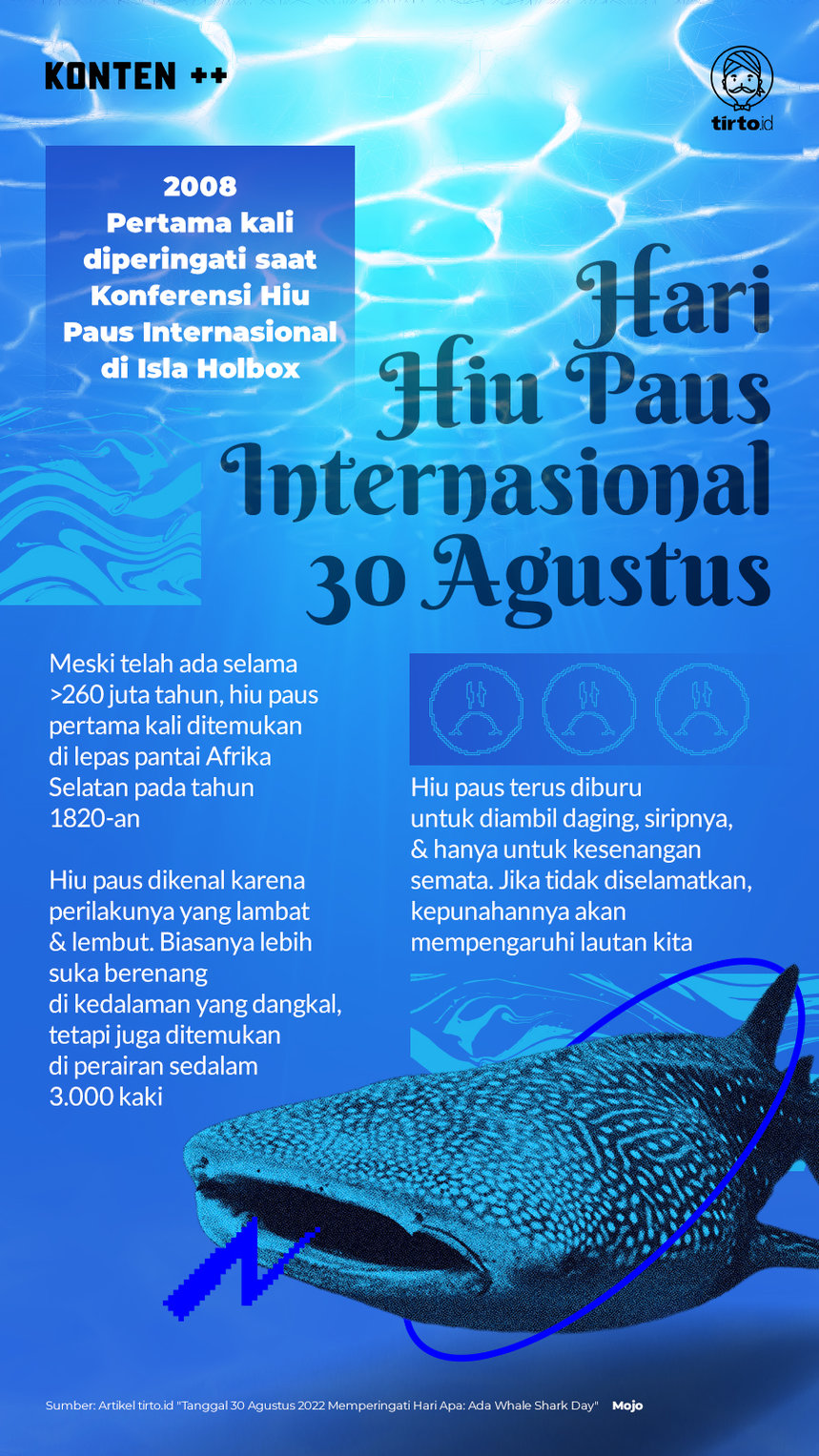 Infografik SC Hari Hiu Paus Internasional