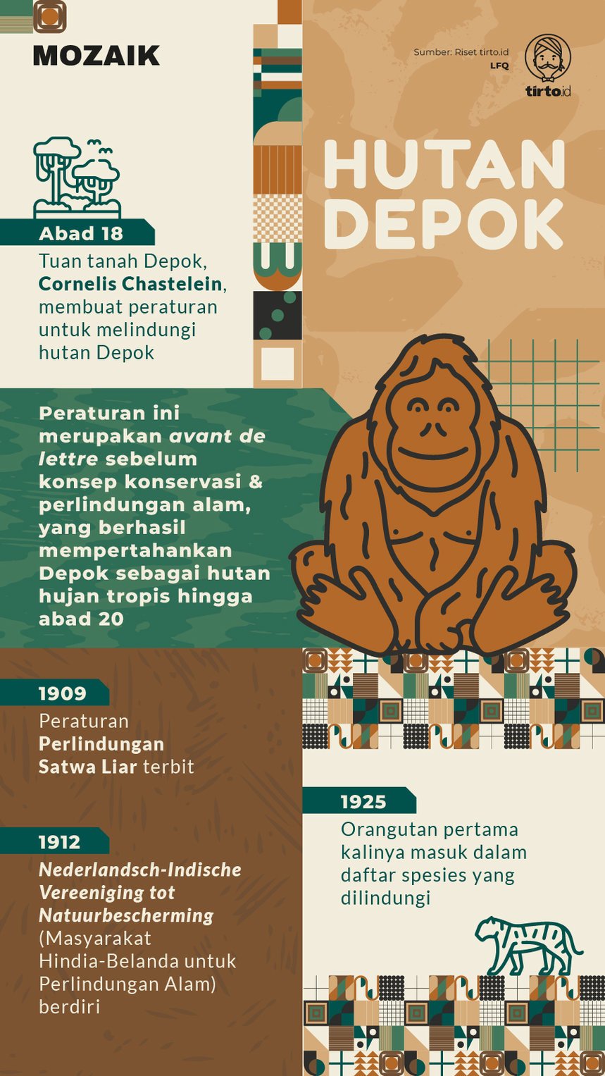 Infografik Mozaik Hutan Depok
