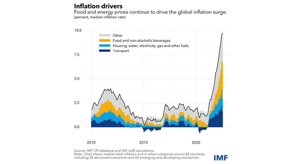 info grafik pendorong inflasi dunia. (IMF)