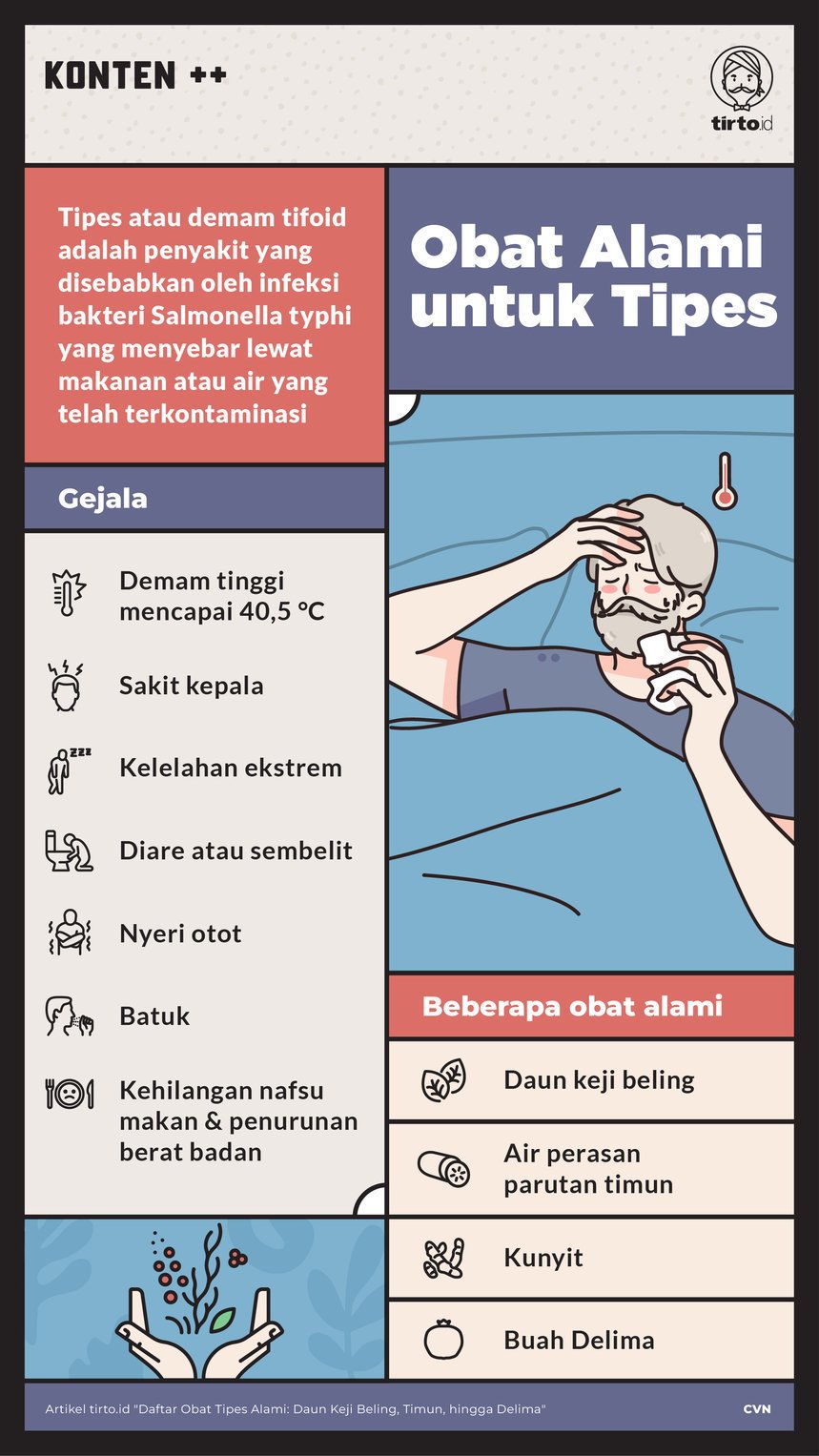 Infografik Sc Obat alami untuk tipes