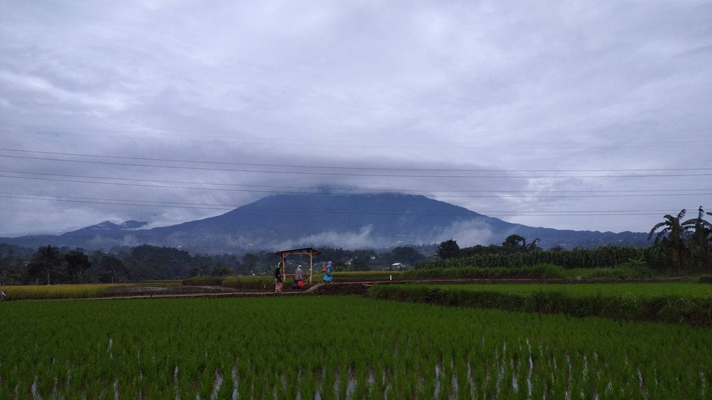 Gunung Gede Pangrango