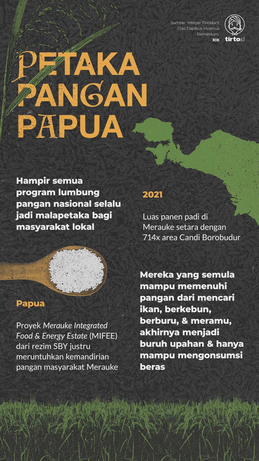 Infografik Indepth Petaka Pangan Papua