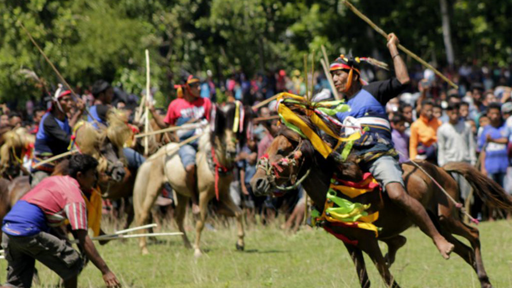 festival Pasola