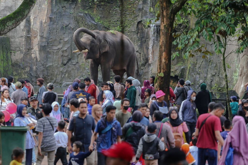 Harga Tiket Ragunan Selama Libur Nataru 2024 dan Cara Belinya