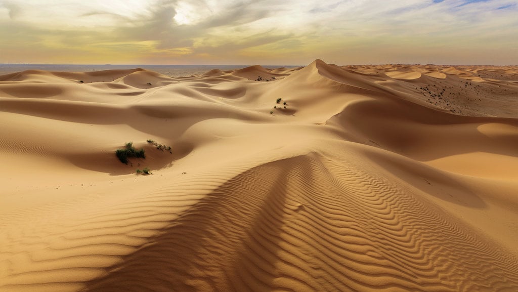 Ilustrasi gurun Pasir