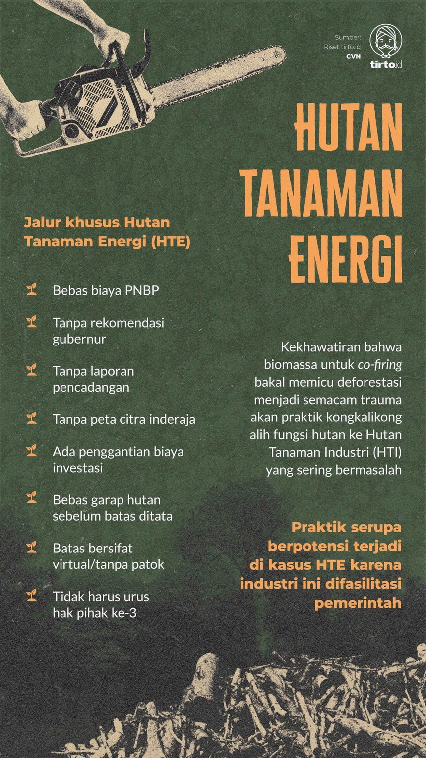 Infografik Indepth Hutan Tanaman Energi
