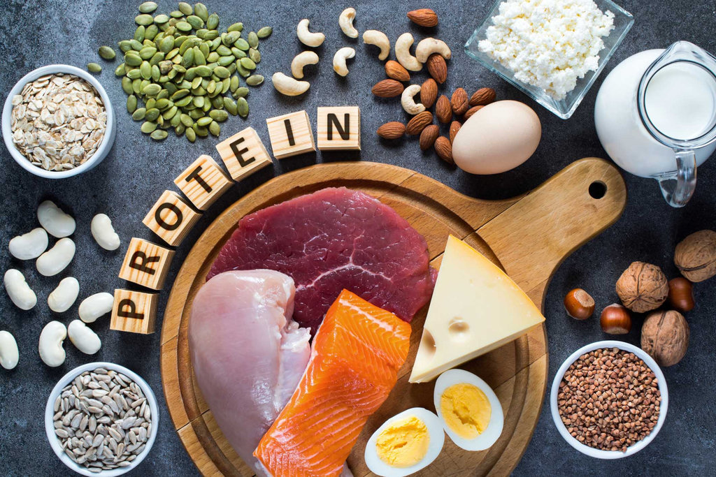ILustrasi makanan protein