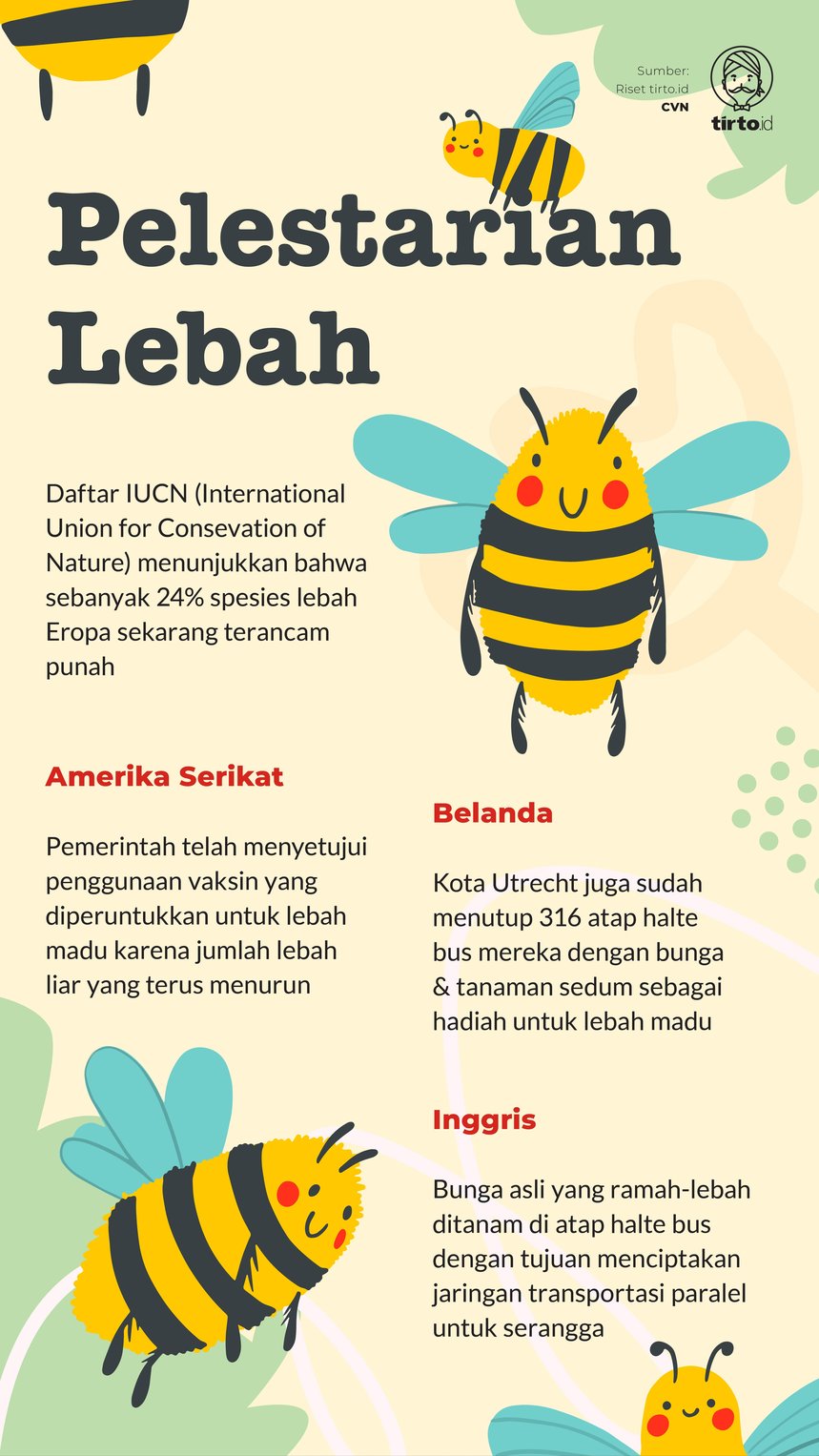 INfografik Pelestarian Lebah