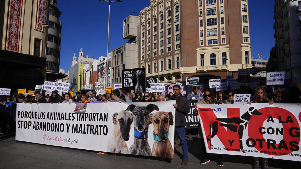 Demo UU Perlindungan Hewan di Spanyol