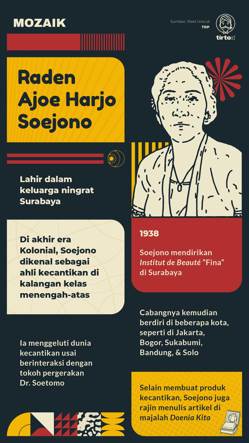 Infografik Mozaik Raden Ajoe Harjo Soejono