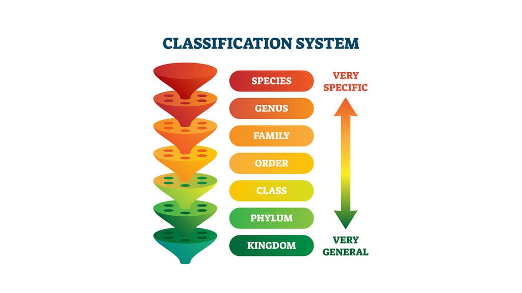 Sistem Klasifikasi Taksonomi