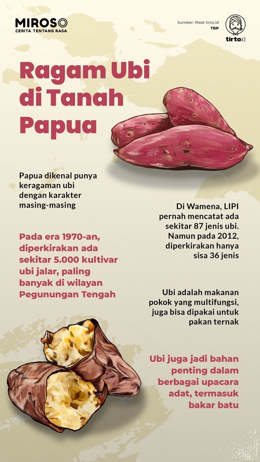 Infografik Miroso Ragam Ubi di Tanah Papua