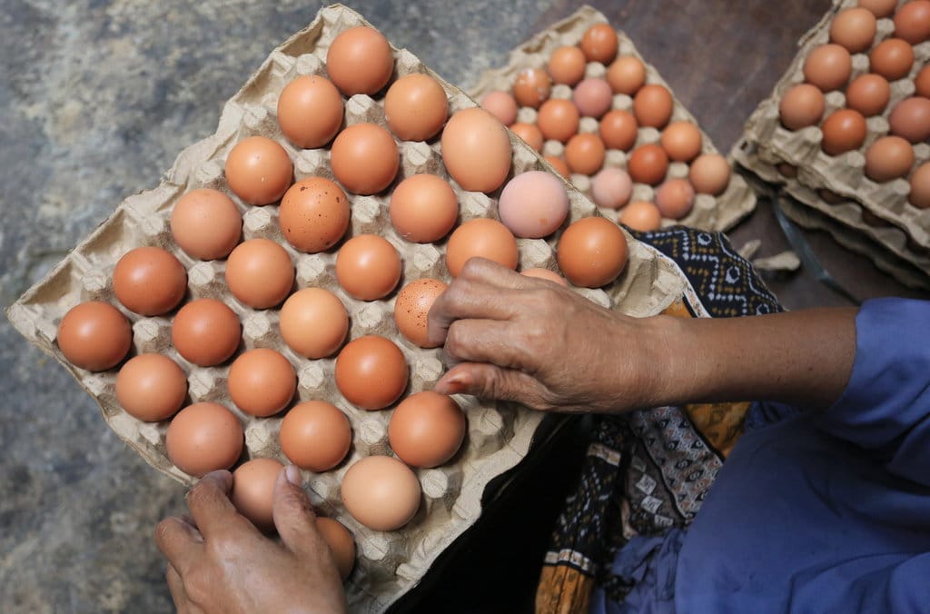 Harga telur ayam ras naik di Aceh