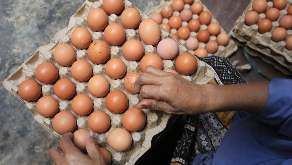 Harga telur ayam ras naik di Aceh