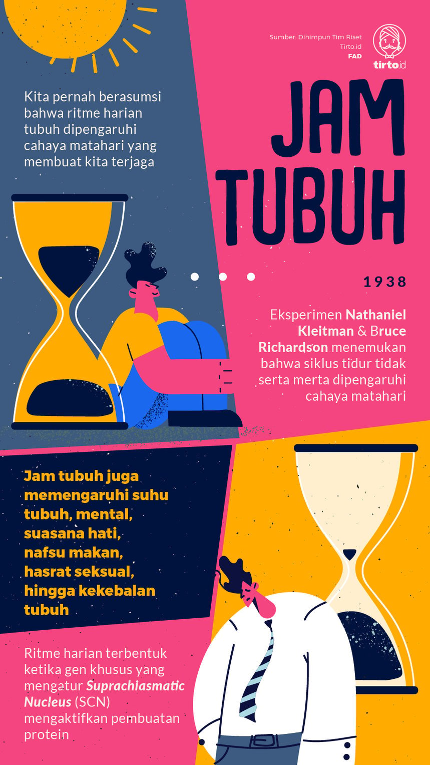 Infografik Jam Tubuh