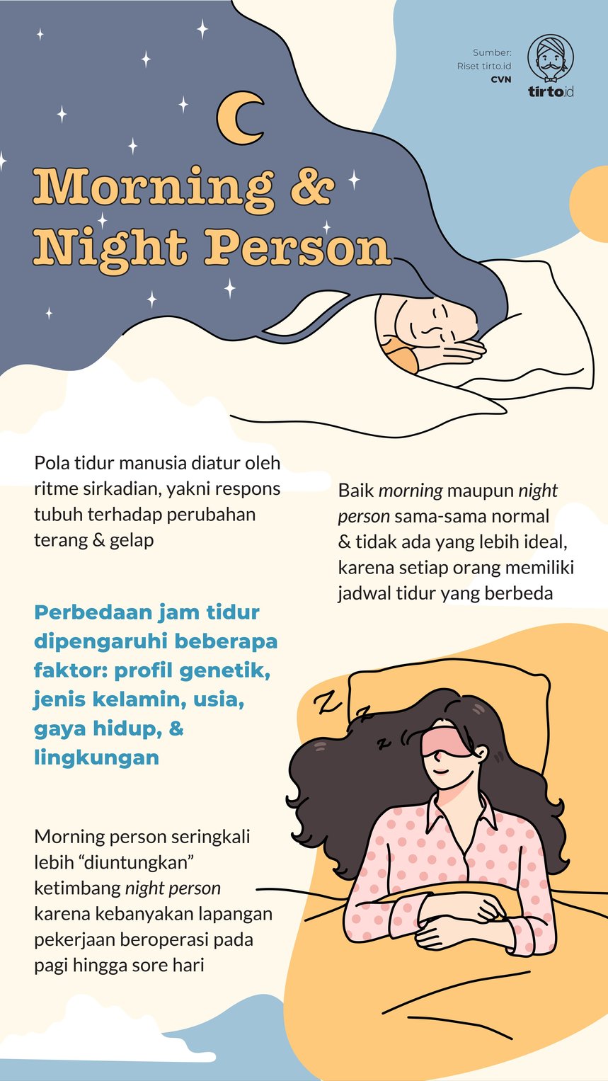 Infografik Morning and night Person