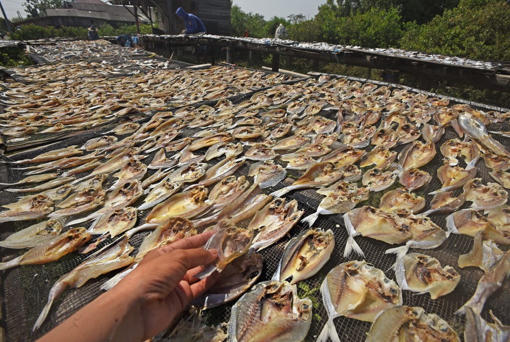 Pengusaha ikan asin kesulitan bahan baku