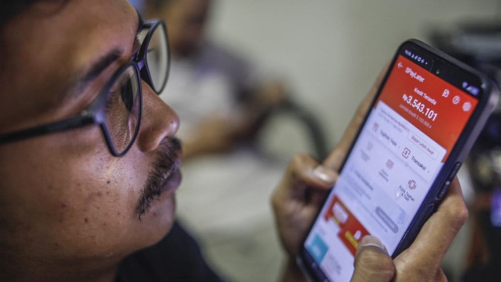 Pertumbuhan pengguna paylater