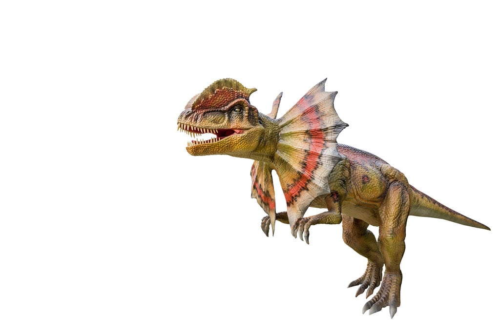 Dilophosaurus 