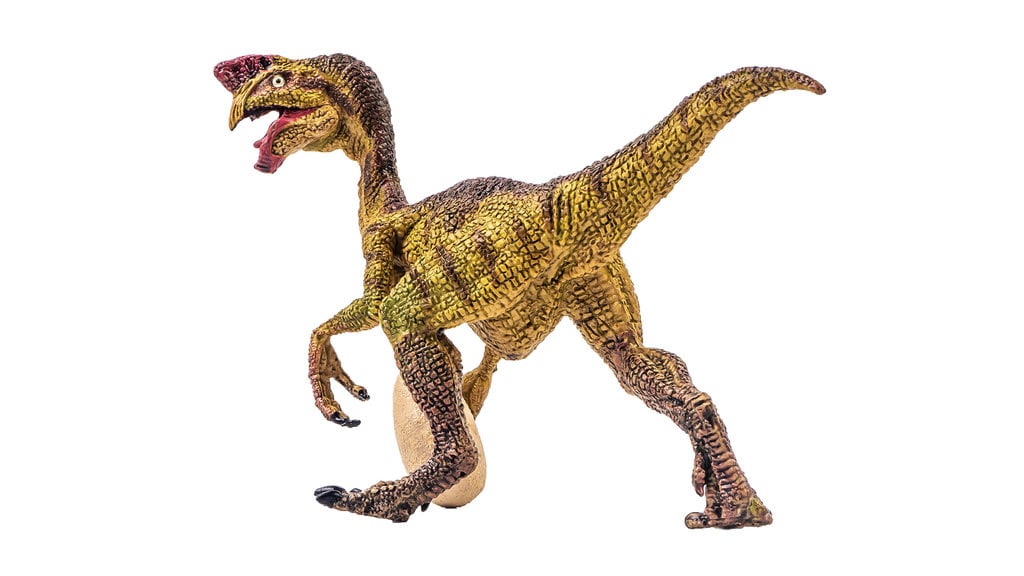 Oviraptor 