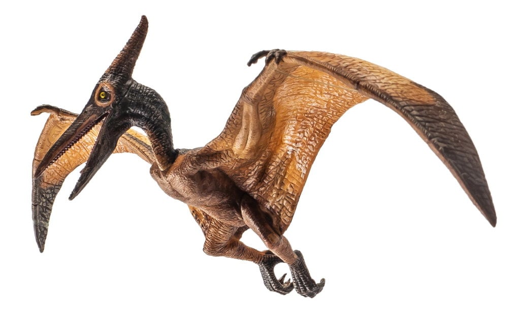 Dinosaur Pterodactyl 