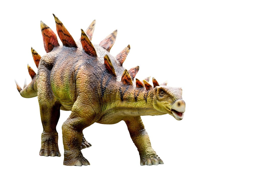 Dinosaurus stegosaurus