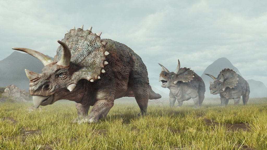 Dinosaurus Triceratops 