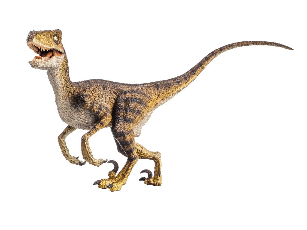 Dinosaurus, Velociraptor
