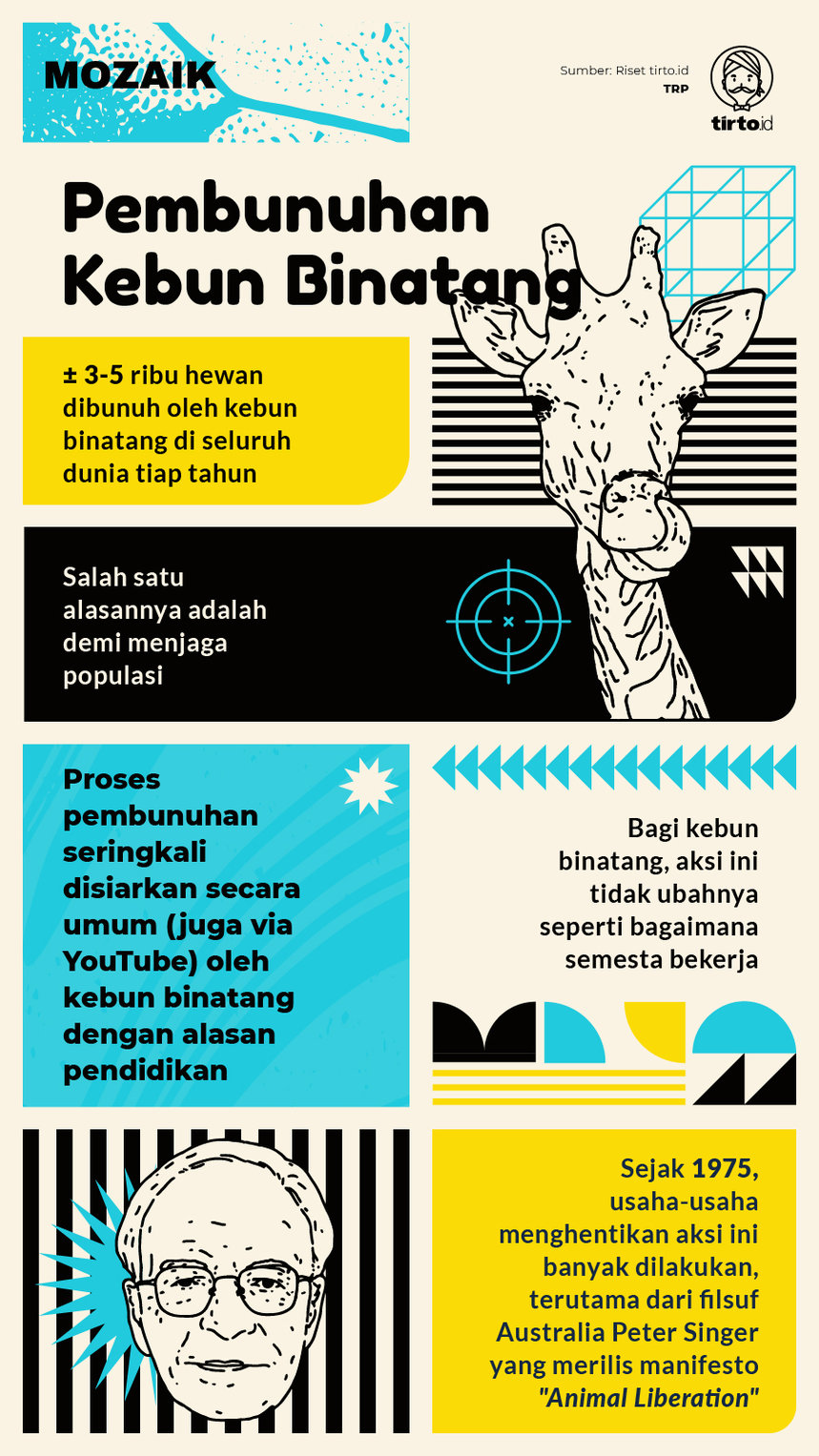 Infografik Mozaik Pembunuhan Kebun Binatang