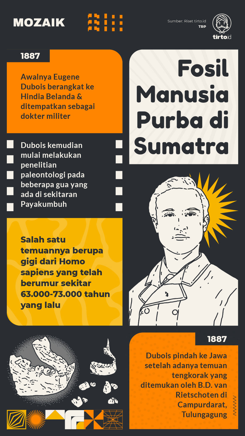 Infografik Mozaik Fosil Manusia Purba di Sumatra