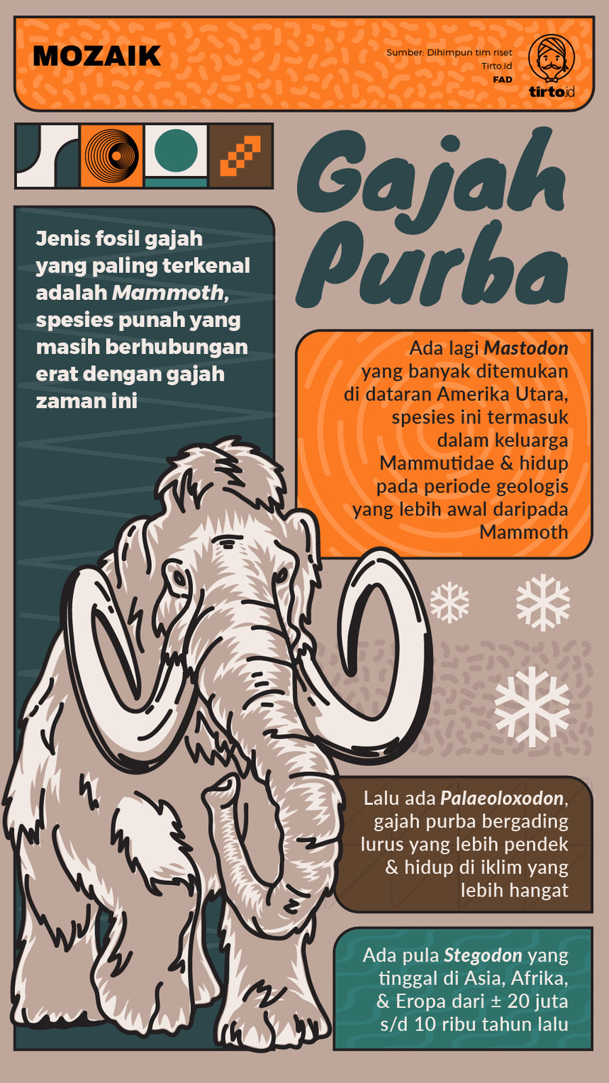 Infografik Mozaik Gajah Purba
