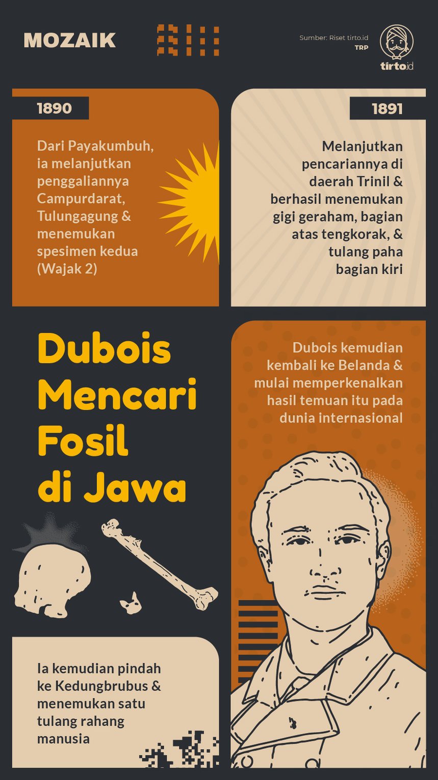 Infografik Mozaik Dubois Mencari Fosil di Jawa