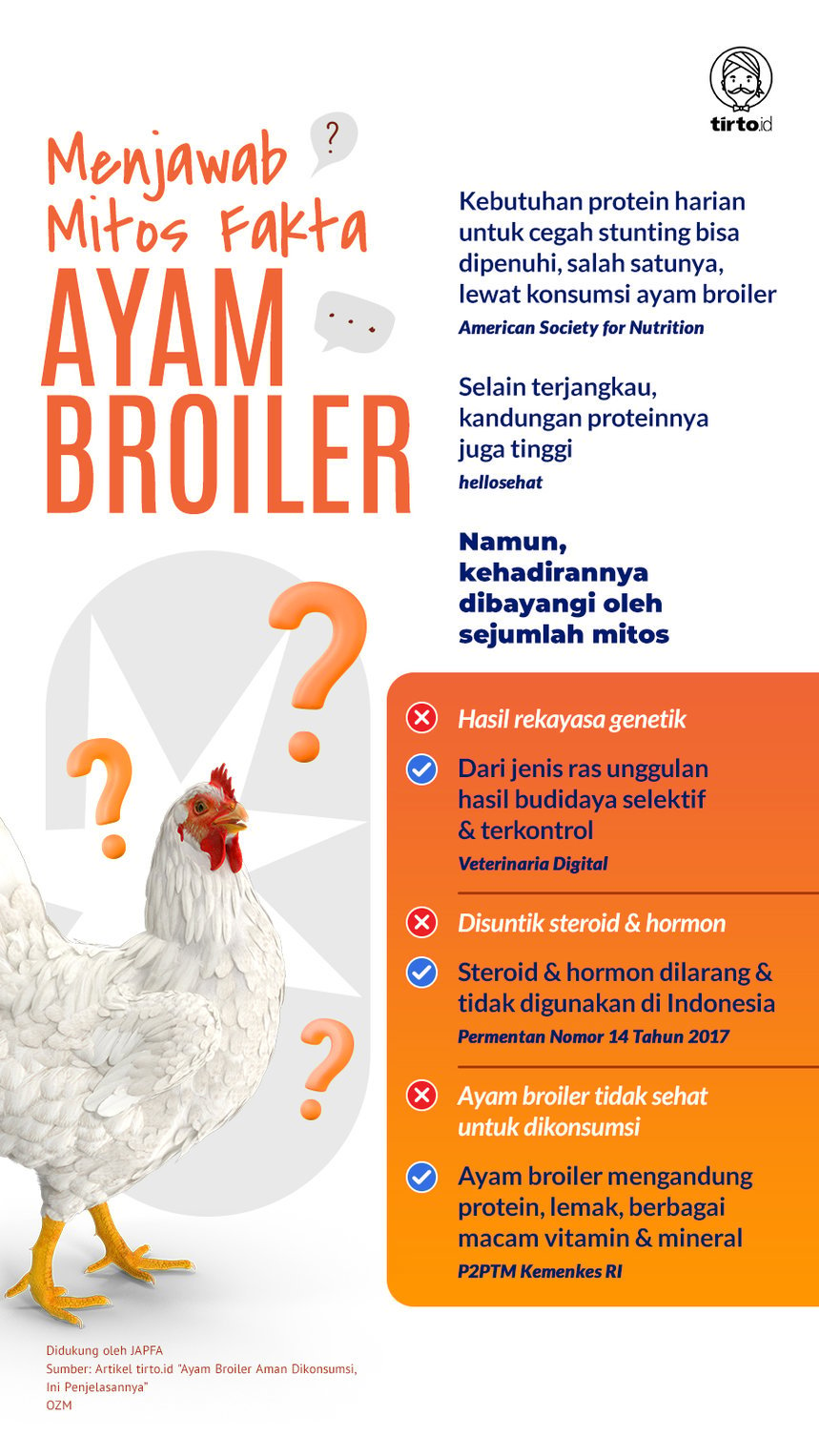 Infografik Menjawab Mitos Fakta Ayam Broiler