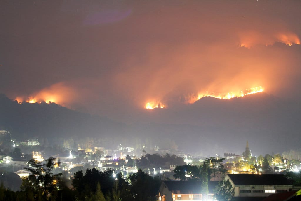 Kebakaran hutan dna lahan di Gunung Arjuno