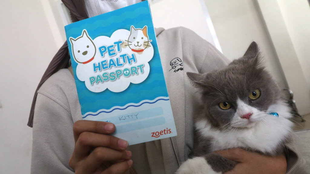 Wakga memperlihatkan kartu vaksin kucingnya usai mendapatkan vaksin rabies di Pusat Kesehatan Hewan Dinas Ketahanan Pangan dan Peternakan, Kota Kediri, Jawa Timur, Selasa (26/9/2023). ANTARA FOTO/Prasetia Fauzani/hp. Seribu vaksin gratis peringatan Hari Rabies