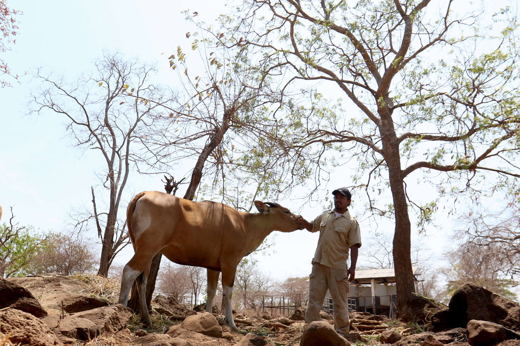 APBN Terbatas, Menhut Dorong Creative Financing Taman Nasional