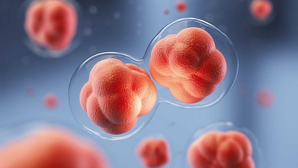 Ilustrasi Pembelahan Sel. foto/SItockphoto Pembelahan Sel