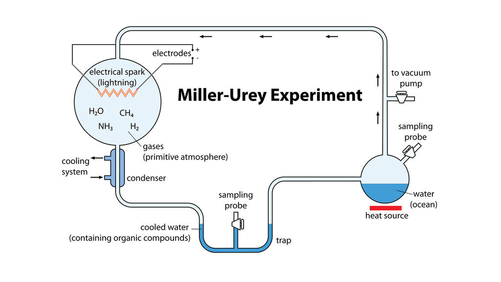 Gambar percobaan Miller-Urey