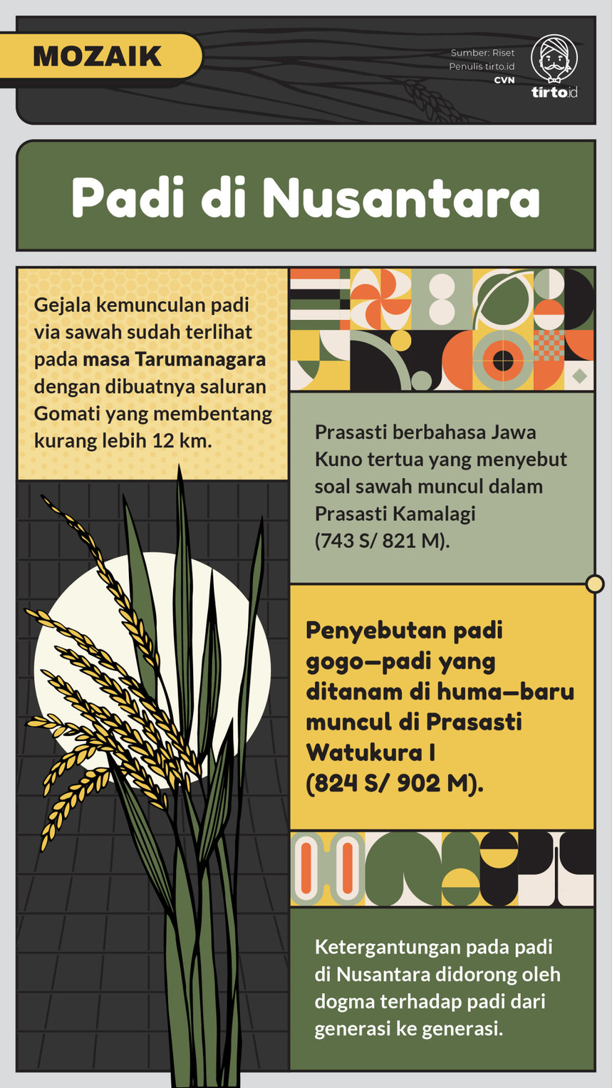 Infografik Mozaik Padi di Nusantara
