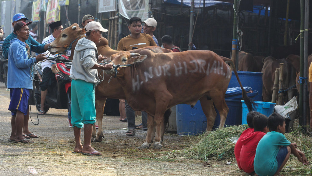 Ketersediaan hewan kurban di Jawa Timur