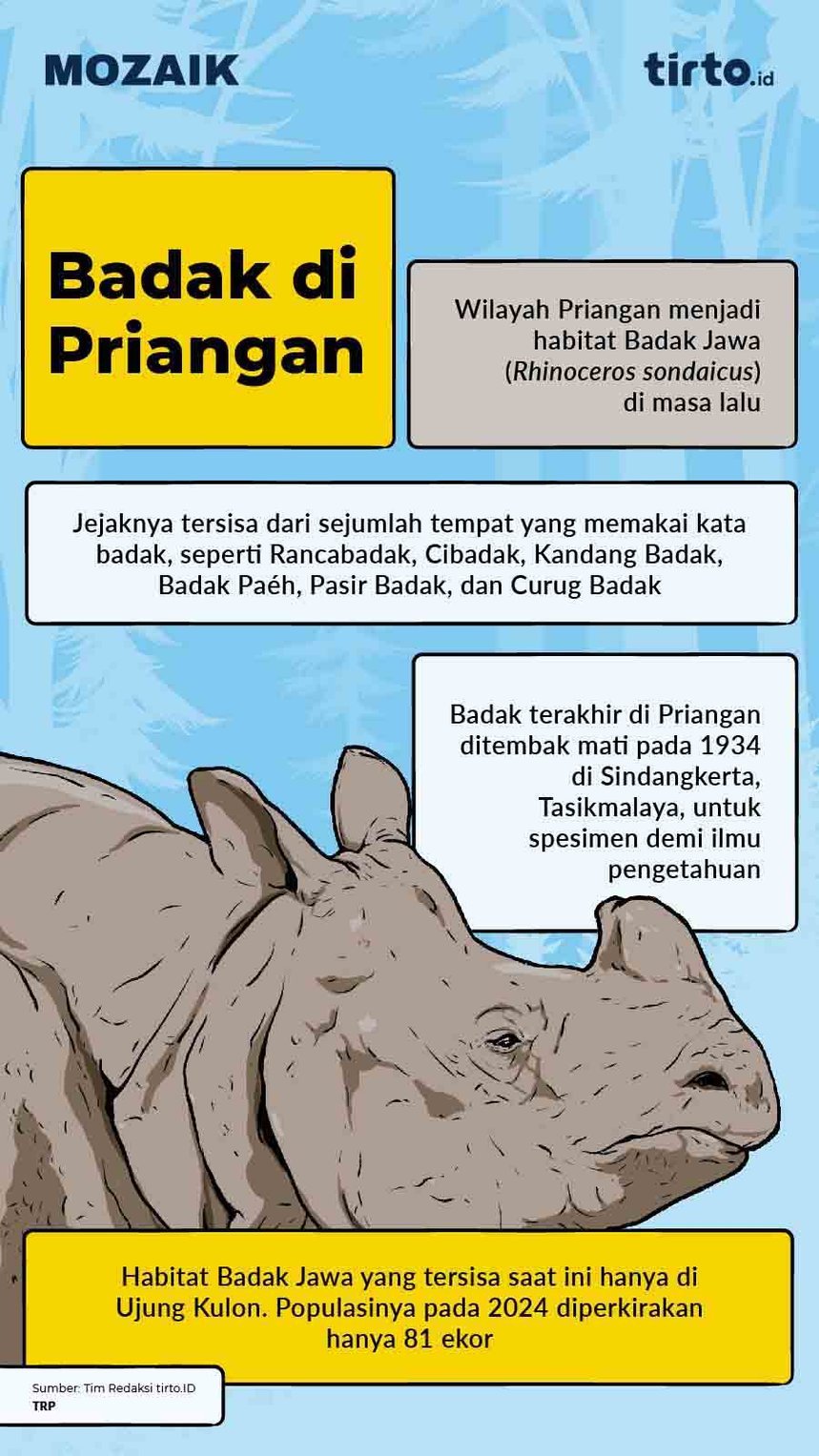 Infografik Mozaik Badak Priyangan