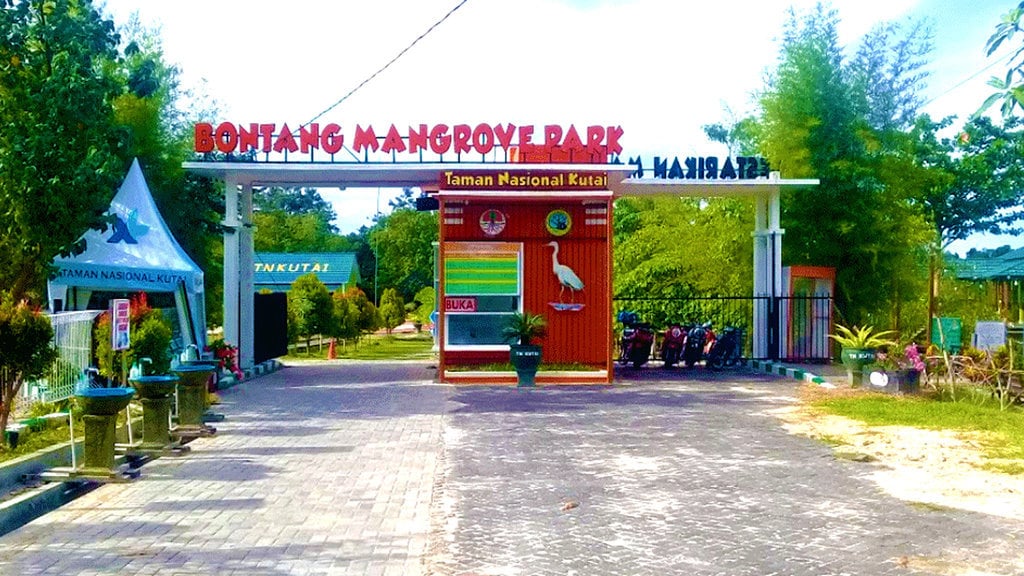 Bontang Mangrove Park TNK