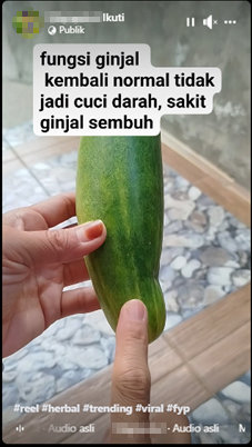 Foto Periksa Fakta Mentimun Obat GInjal